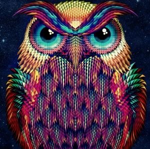 Meet your Posher, Darlene